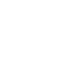 linkedin Marianne Magnant Logo linkedin